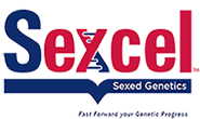 sexcel-logo-male